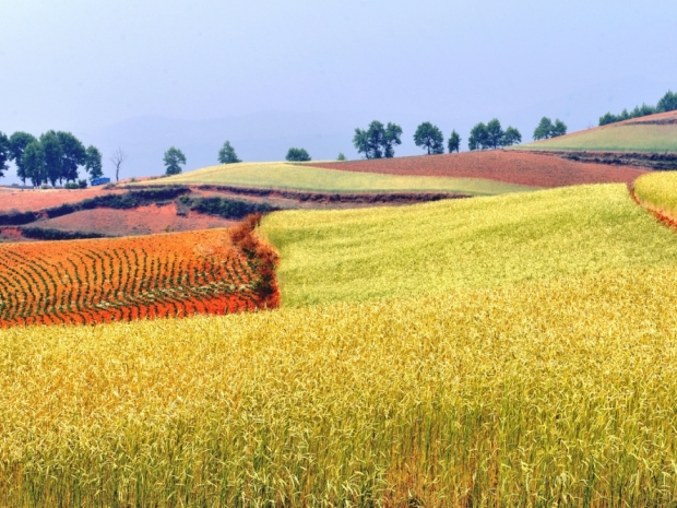 福州拟出让18宗619亩用地,土地出让对房价影响?