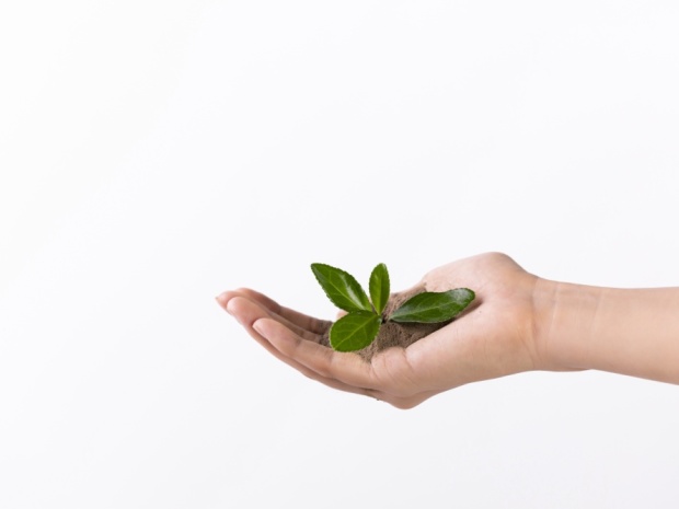 村委会承包土地拒还，非法占地的法律后果是什么？